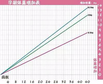 胎儿五个月多重，了解胎儿体重增长规律与影响因素