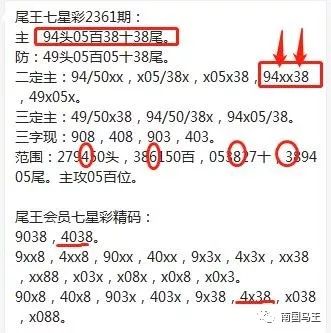 香港天天彩资料大全,精选解释解析落实定制版210.273