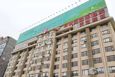 广东省妇幼保健院，专业、温馨的健康守护者