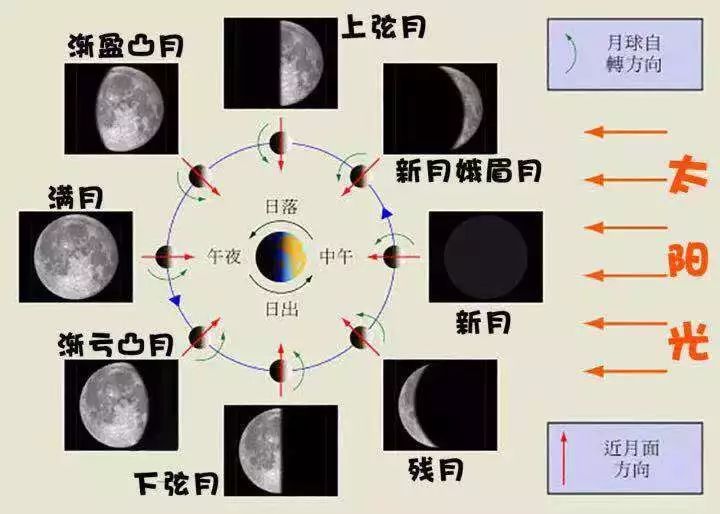 一个月月亮圆几次，探寻月相变化的奥秘