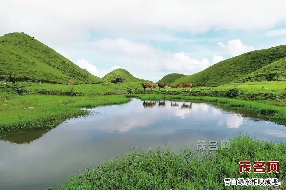 广东省高州市马贵镇，自然美景与文化底蕴的完美结合