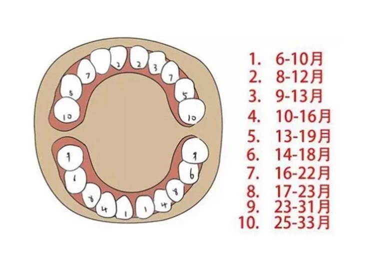宝宝五个月出牙正常吗？解读婴儿牙齿生长规律与早期发育