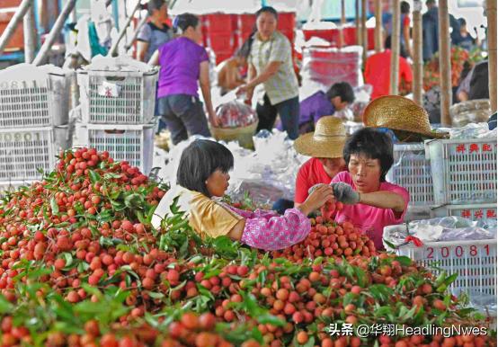 广东省高企入库，科技创新与产业升级的重要驱动力