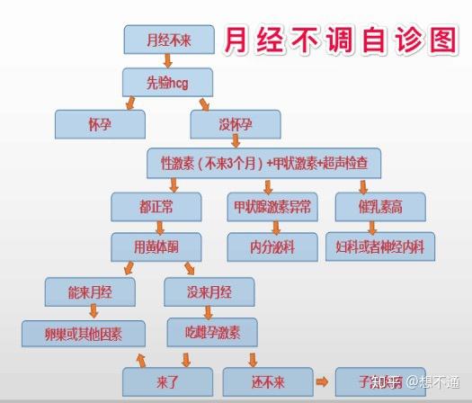 二个月不来月经，原因、影响与对策