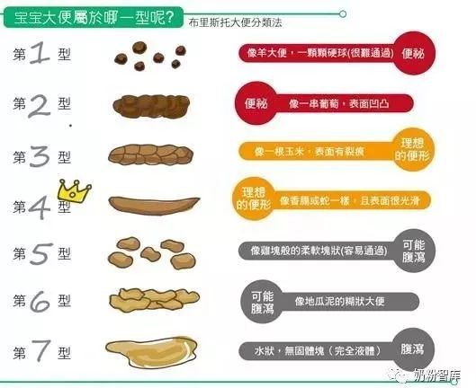 六个月宝宝大便正常图及其相关解析