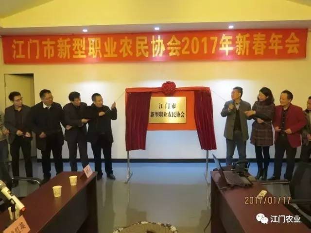 广东英得尔实业发展有限公司，卓越发展的典范