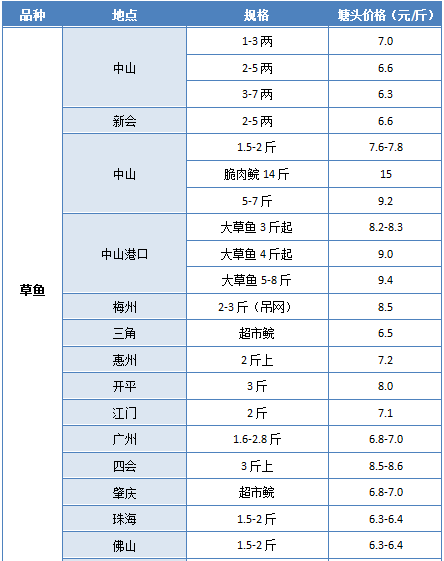 广东婷美品牌有限公司，品牌力量与市场影响力