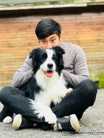 两个月大的边境牧羊犬幼犬，成长、训练与关爱