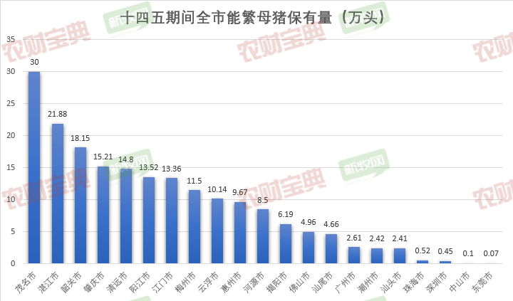 广东名臣股份有限公司，历史、现状与未来展望